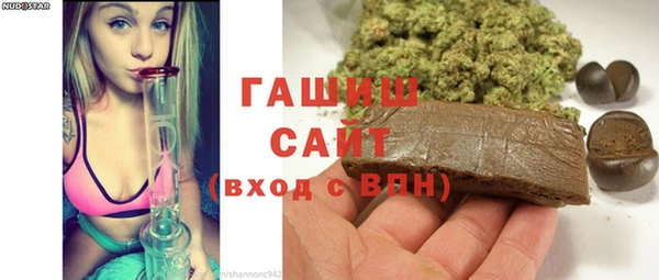 стаф Алзамай