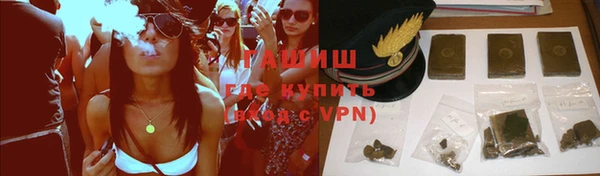 стаф Алзамай