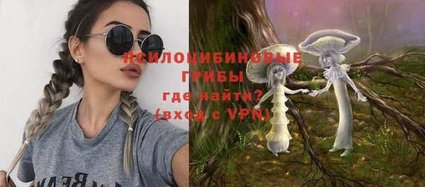 ПСИЛОЦИБИНОВЫЕ ГРИБЫ Алексин
