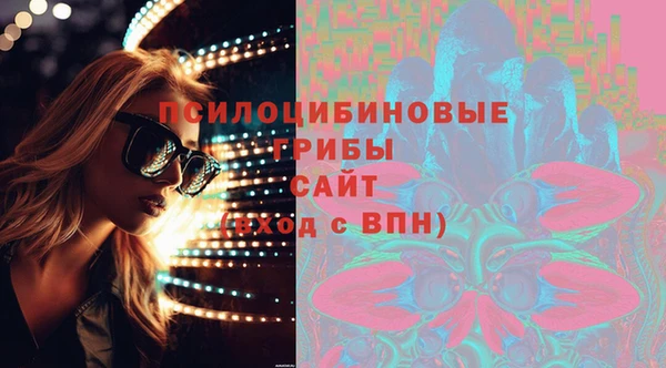 ПСИЛОЦИБИНОВЫЕ ГРИБЫ Алексин