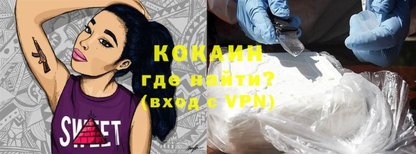 стаф Алзамай